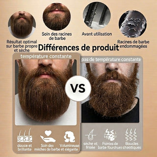 Ventura Brosse Démêlante et Lissante pour Barbe